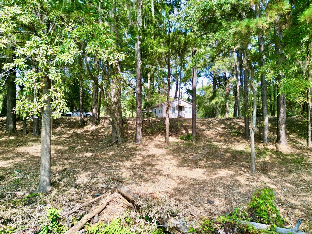 15585 Rudd Road Ida, LA 71044 - Photo 4 of 27 Wooded lot featuring mature trees and a residential structure