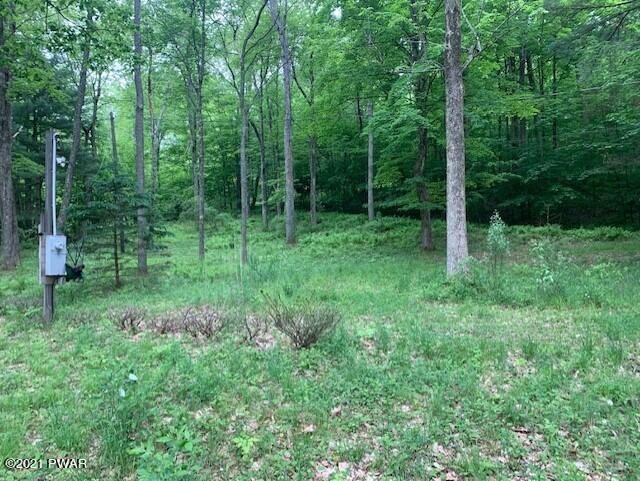 464 Penn-York Road Starlight, PA 18461 - Photo 5 of 9 2+ acres