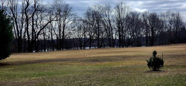 $379,000 | 3935 Destiny Drive, Hart, MI 49420