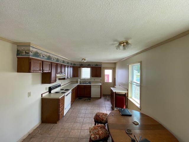 777 Moosehead Lake Road Greenville, ME 04441 - Photo 6 of 25 IMG_2758