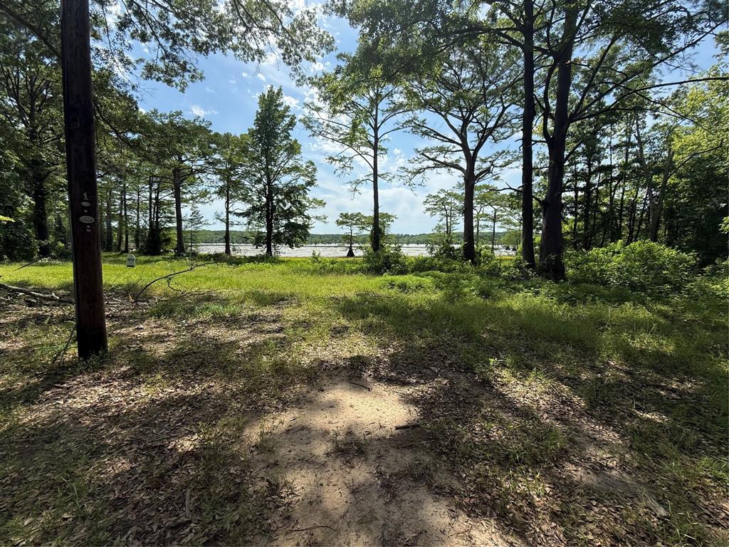 11756 Catfish Road Vivian, LA 71082 - Photo 16 of 17