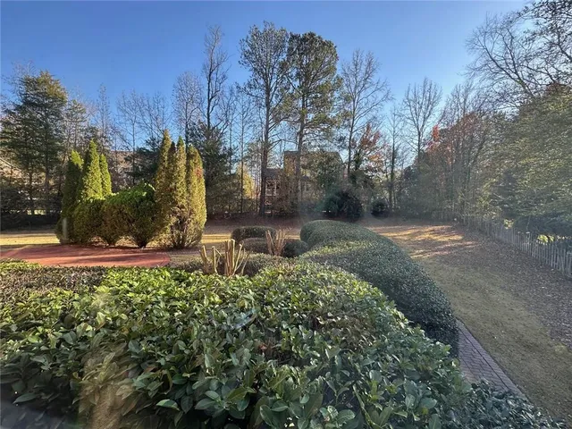 a view of a garden with large trees