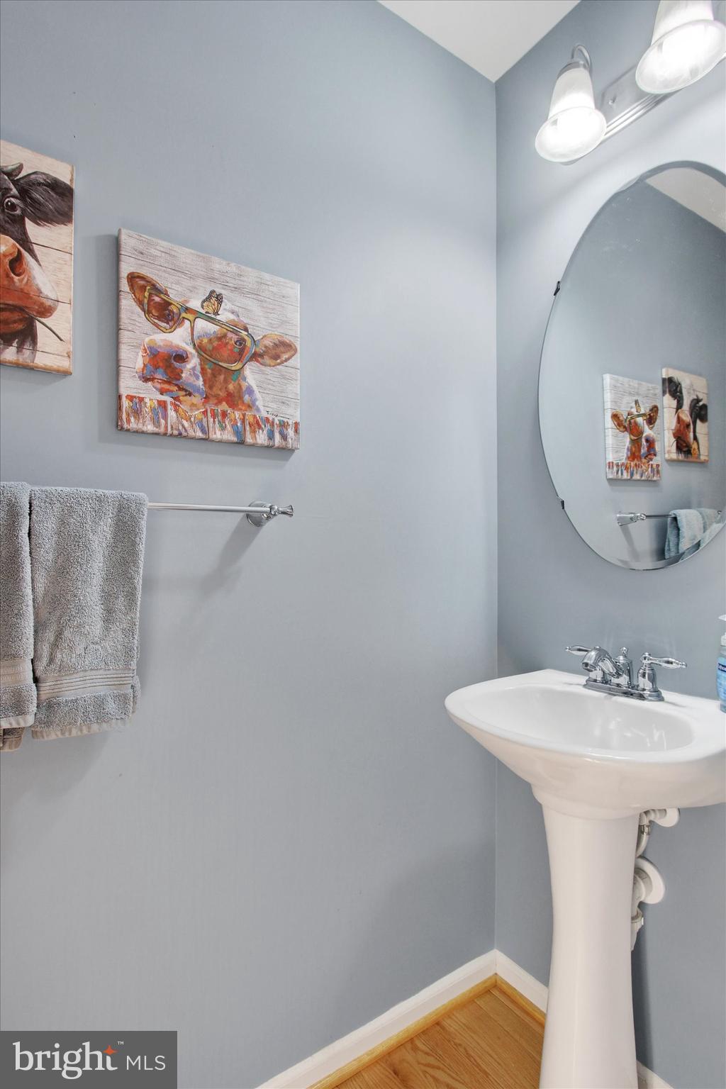 2523 Codorus Lane Spring Grove, PA 17362 - Photo 5 of 53 a bathroom with a sink and a mirror