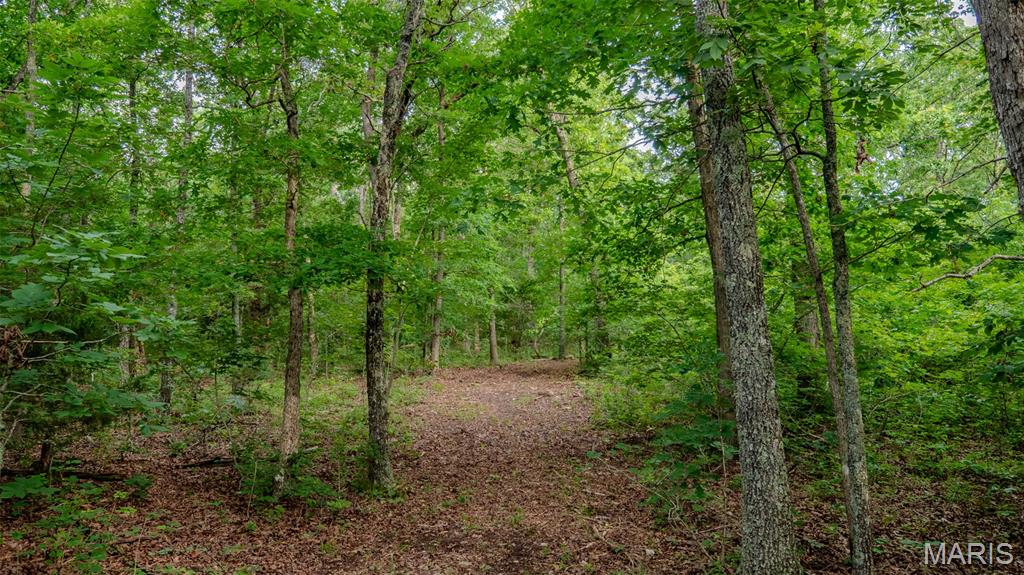 0 Hwy M Cabool, MO 65689 - Photo 26 of 68