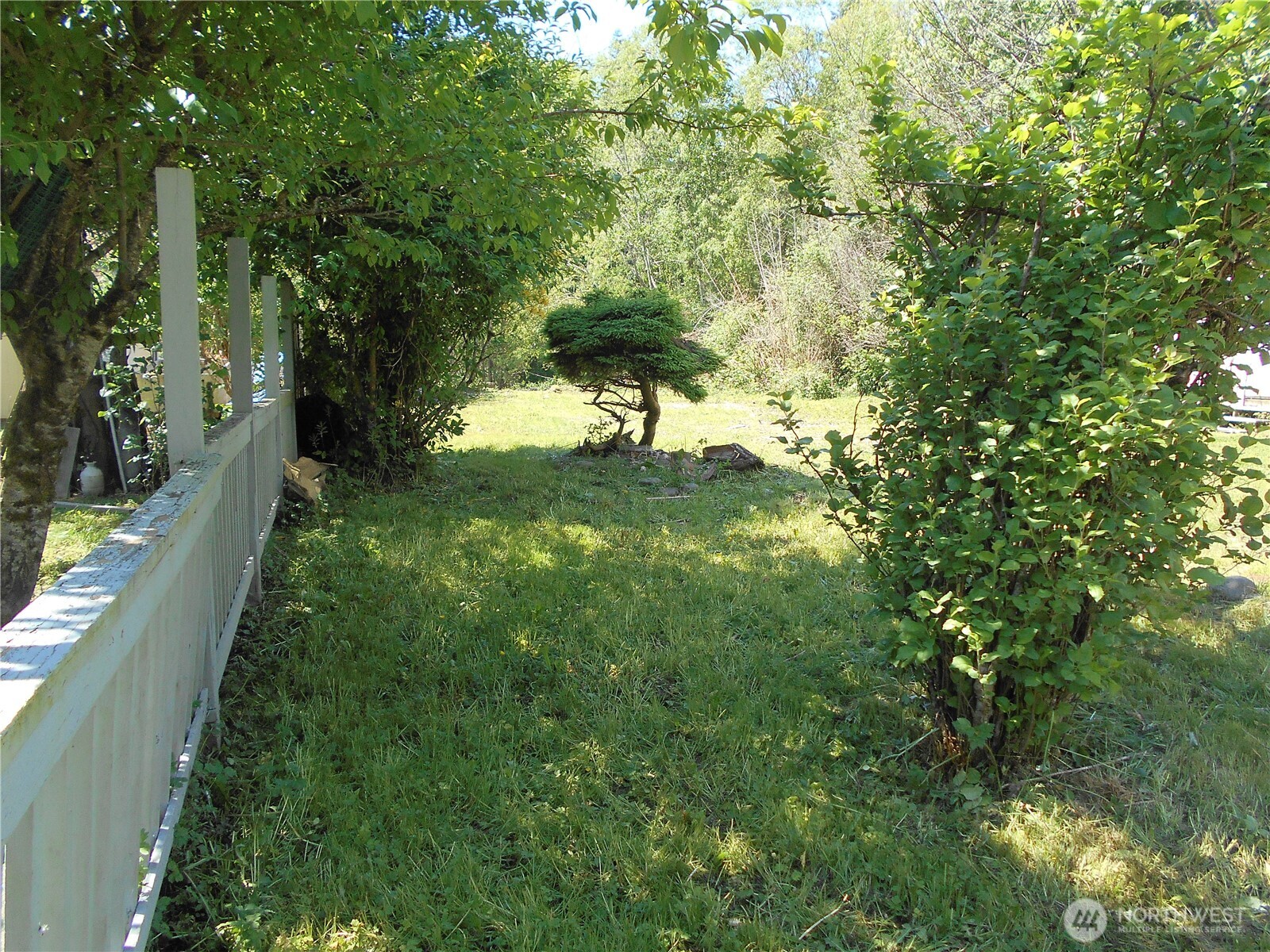 170 Kelly Road Brinnon, WA 98320 - Photo 7 of 29 a view of a lush green forest