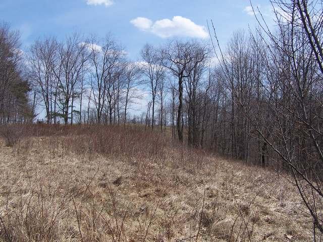 Hundley Road Smoot, WV 24977 - Photo 2 of 3 Building site on the knoll