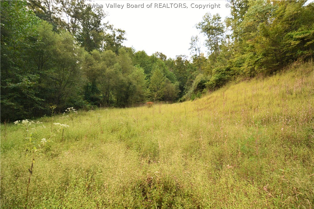 0 Fairview Road Fraziers Bottom, WV 25082 - Photo 4 of 11 Gallery Image 4