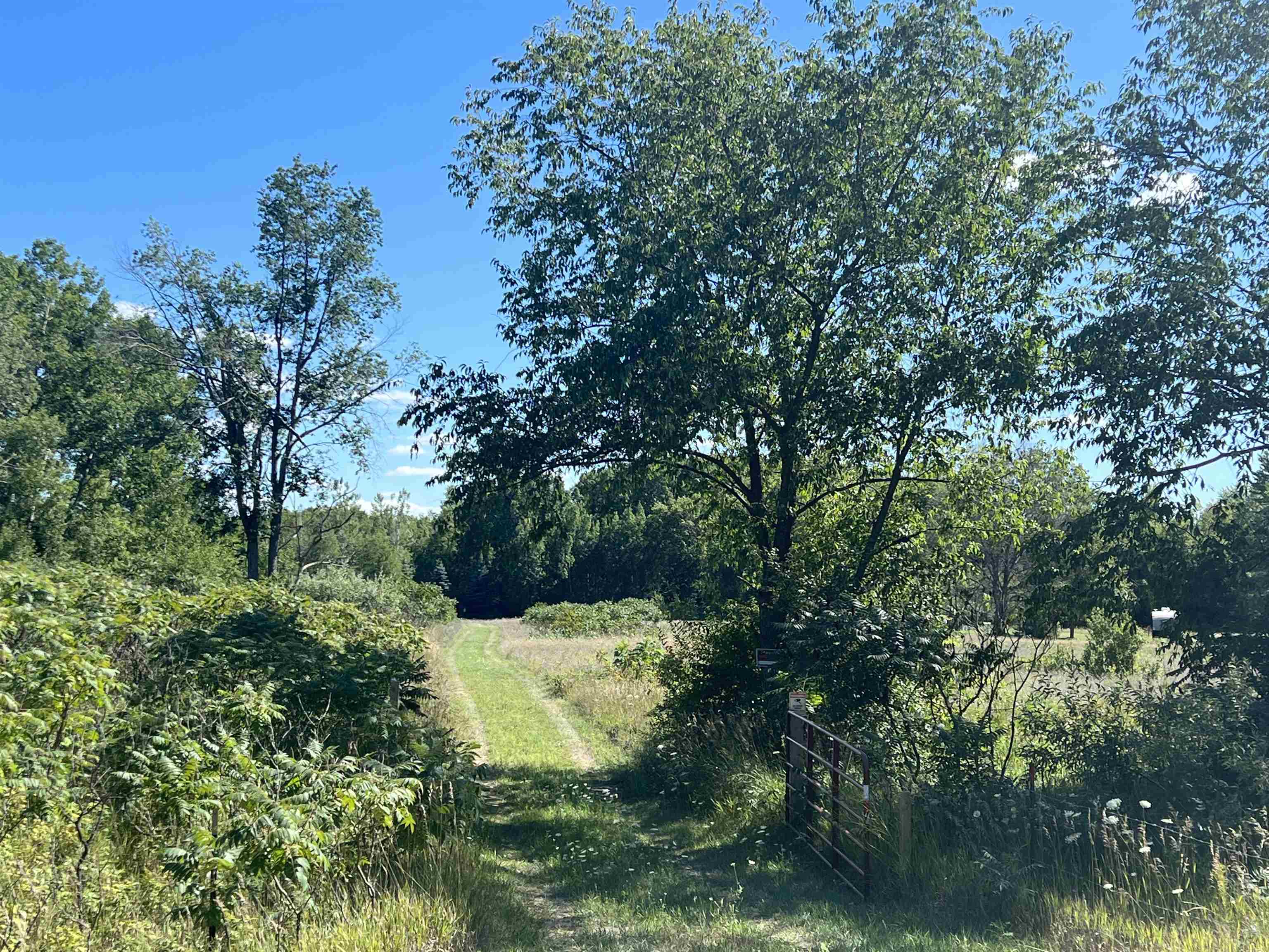 15-acres Meredith Grade Road Gladwin, MI 48624 - Photo 2 of 50