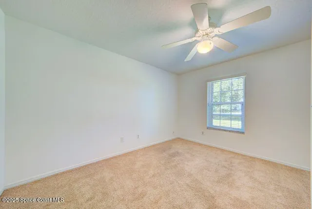 a view of backyard with tree