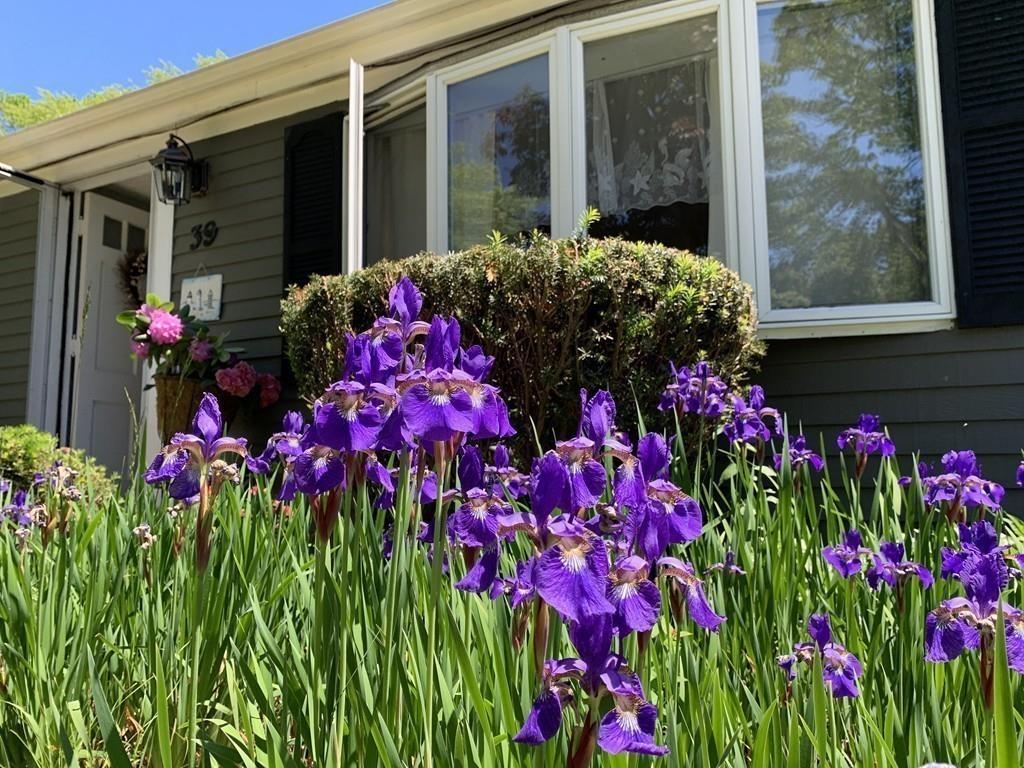 39 Irving Road Scituate, MA 02066 - Photo 26 of 27 Gallery Image 26