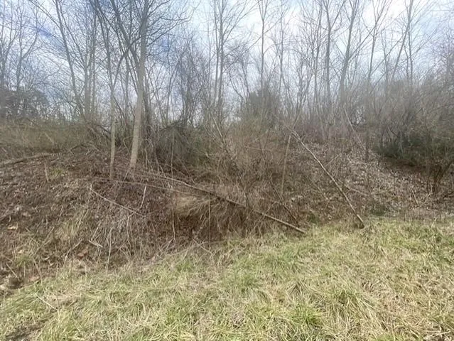 $63,000 | 0 Long Meadow Road, Fishersville, VA 22939