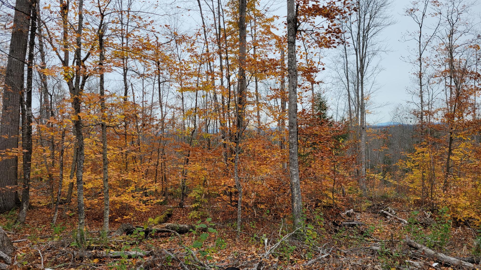 0 Lyford Road Milo, ME 04463 - Photo 1 of 1 Katahdin view 2