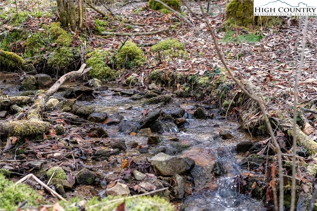 a view of a yard with plants