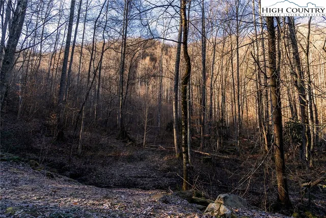 a view of backyard with green space