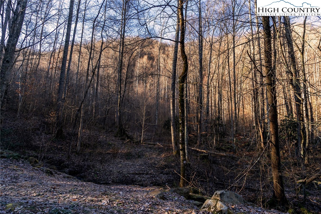 0 Dark Ridge Road Elk Park, NC 28622 - Photo 12 of 22 a view of backyard with green space
