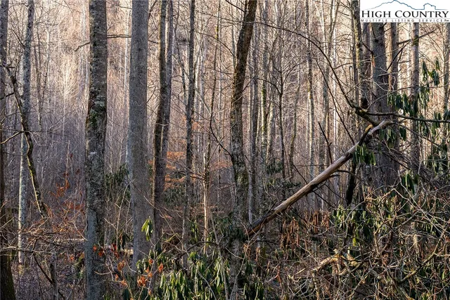 a view of outdoor space and garden