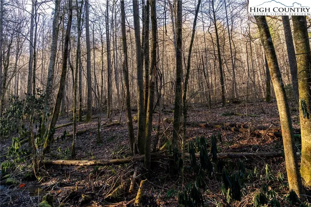 a view of a backyard of the house