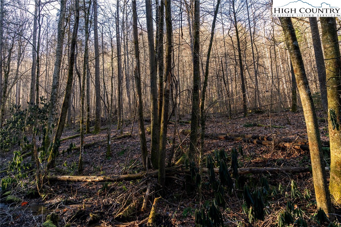0 Dark Ridge Road Elk Park, NC 28622 - Photo 14 of 22 a view of a backyard of the house