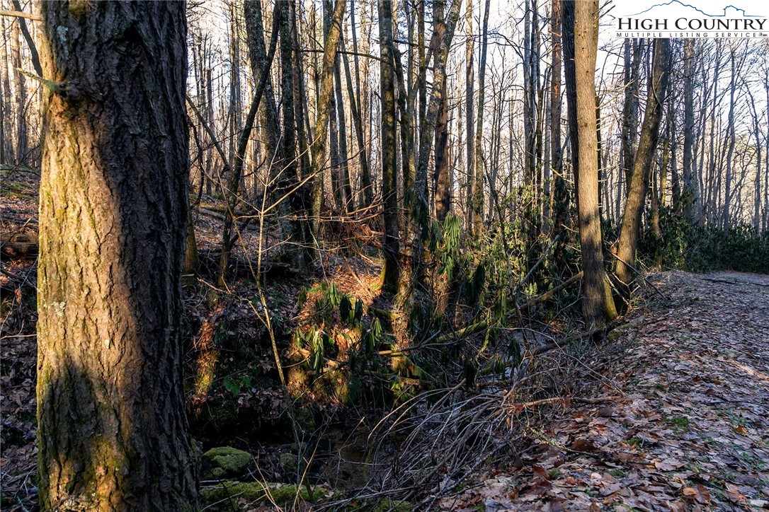 0 Dark Ridge Road Elk Park, NC 28622 - Photo 15 of 22 a view of outdoor space with lots of trees