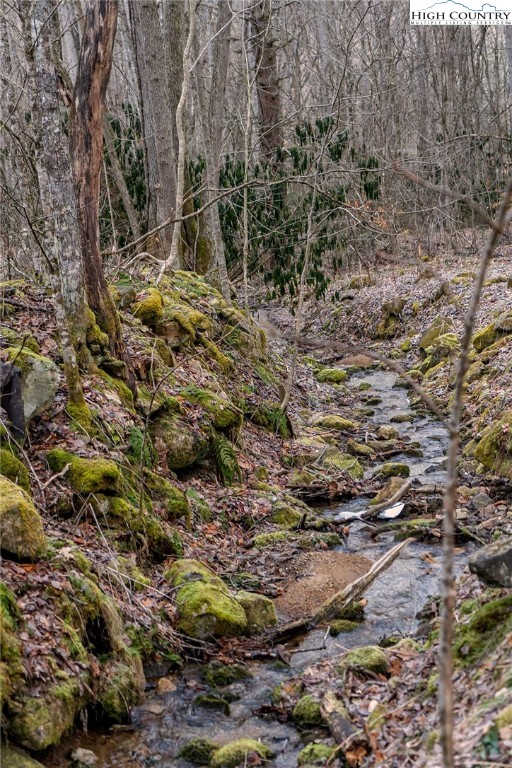 0 Dark Ridge Road Elk Park, NC 28622 - Photo 16 of 22 a view of a forest with trees