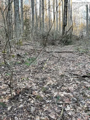 a view of a yard with lots of bushes