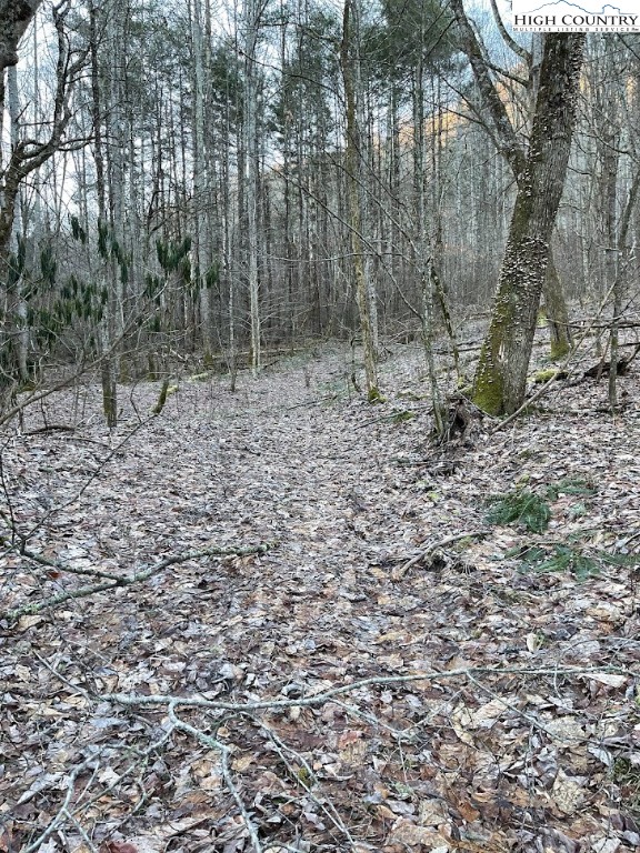 0 Dark Ridge Road Elk Park, NC 28622 - Photo 2 of 22 a backyard of a house with lots of green space