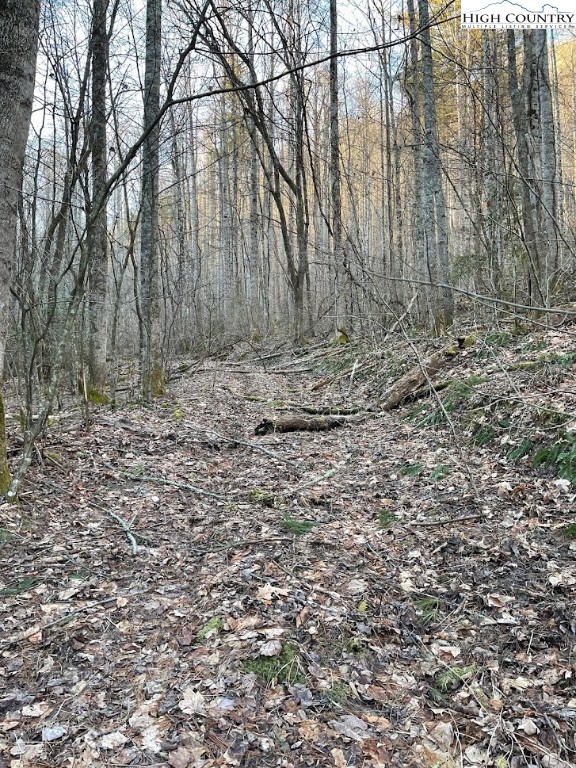 0 Dark Ridge Road Elk Park, NC 28622 - Photo 3 of 22 a view of a yard with large trees