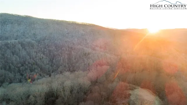 a view of a dry yard