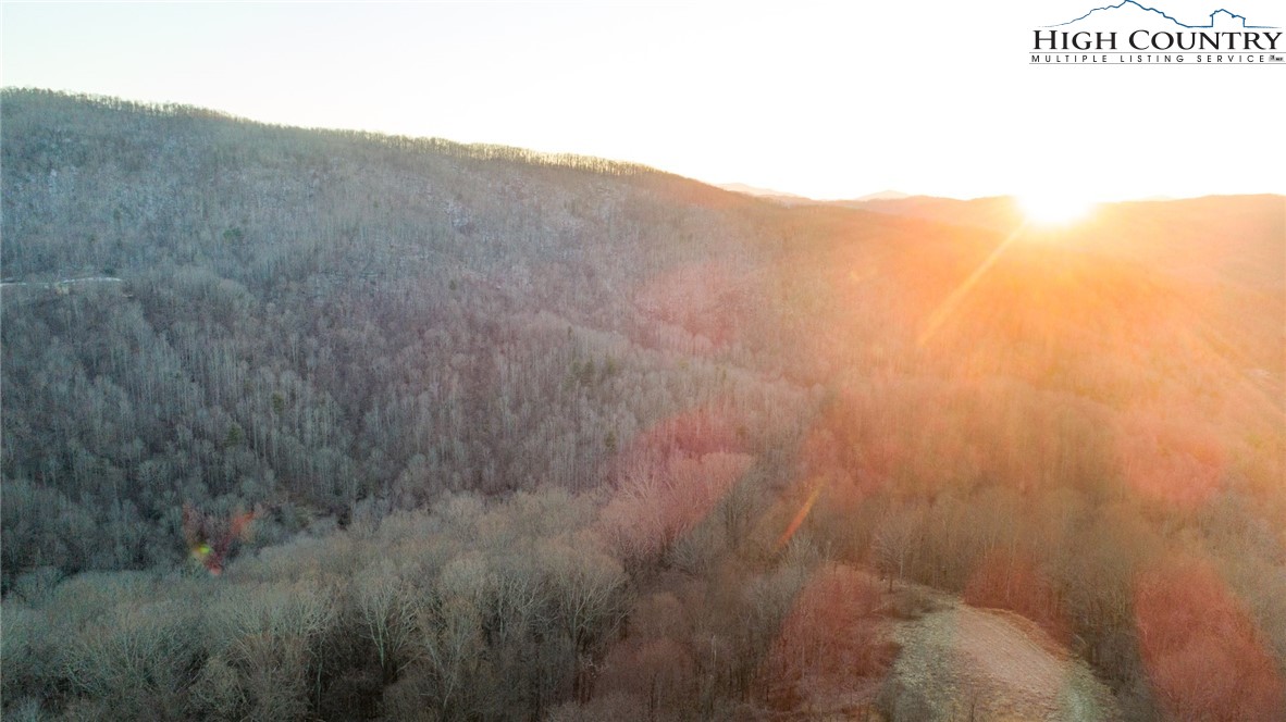 0 Dark Ridge Road Elk Park, NC 28622 - Photo 6 of 22 a view of a dry yard