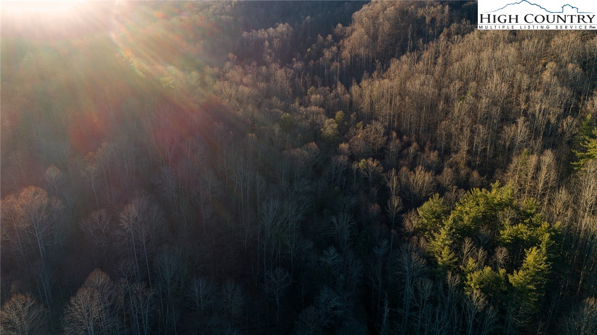 0 Dark Ridge Road Elk Park, NC 28622 - Photo 7 of 22 a view of a yard