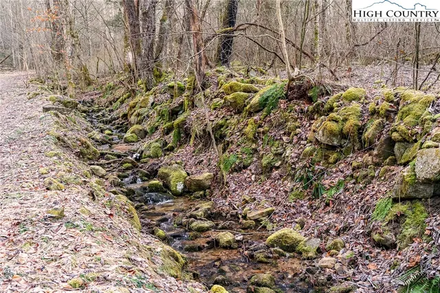 a view of a bunch of trees