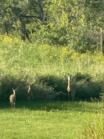 $360,000 | E8946 Highway 22, Bear Creek, WI 54922