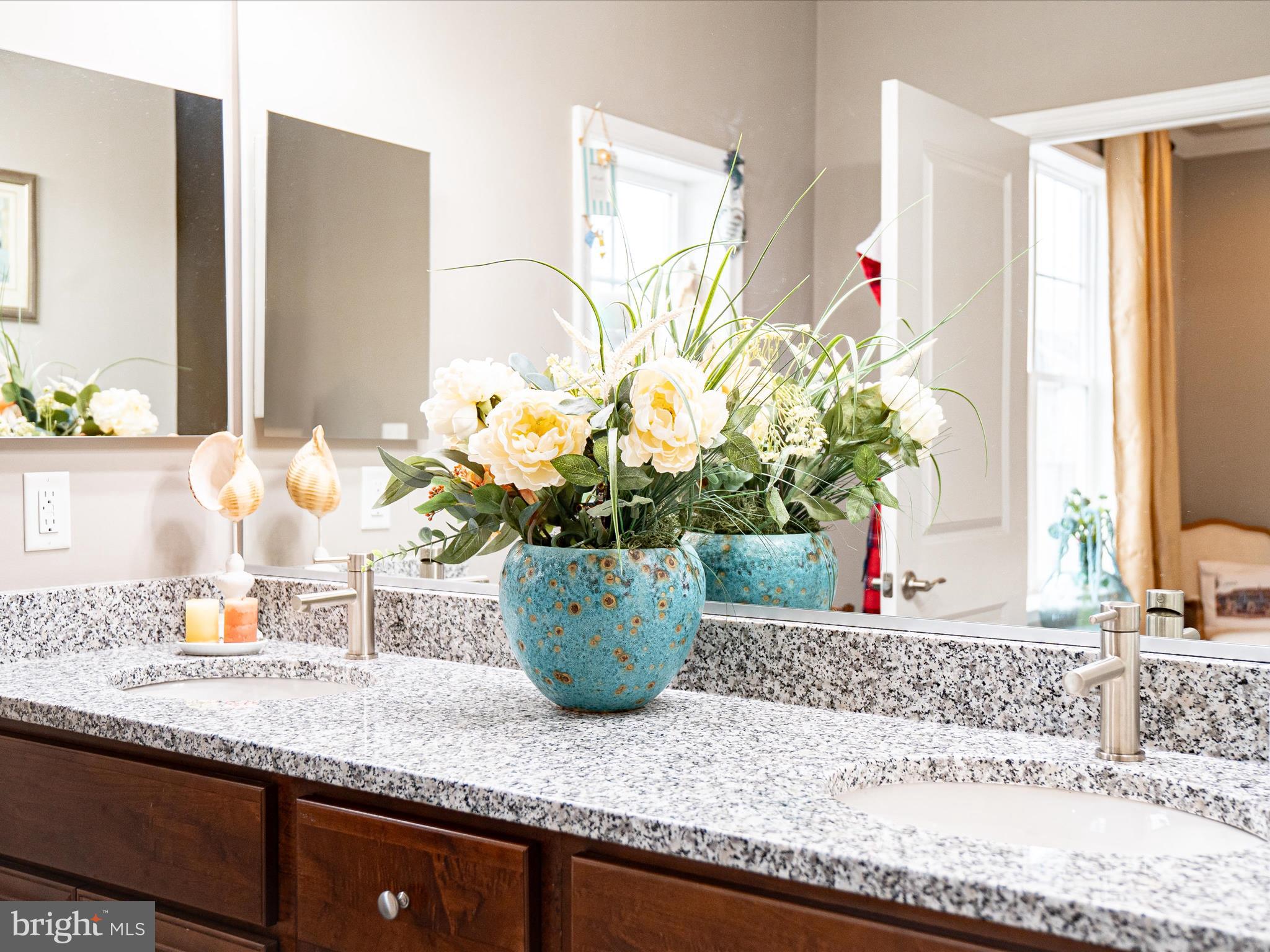 1167 Holden Road Frederick, MD 21701 - Photo 25 of 67 Primary Bathroom Detail
