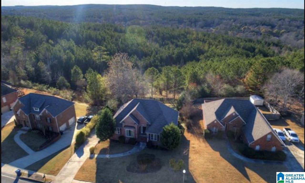 219 Grande View Parkway Alabaster, AL 35114 - Photo 36 of 43