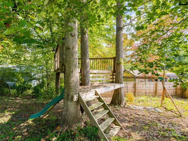 a view of a park with a tree