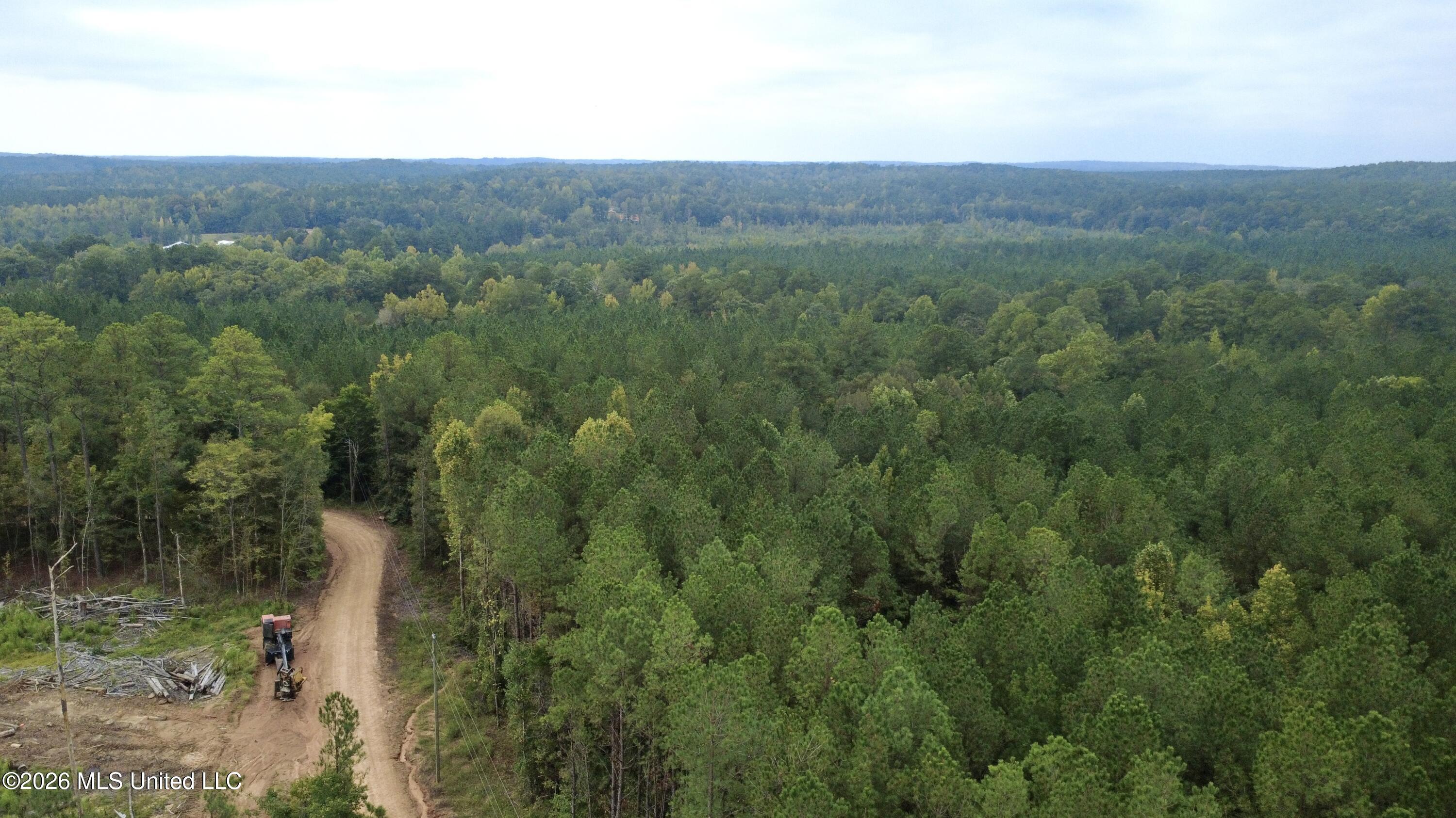 East Bethel Road Sturgis, MS 39769 - Photo 2 of 23 IMG_4303