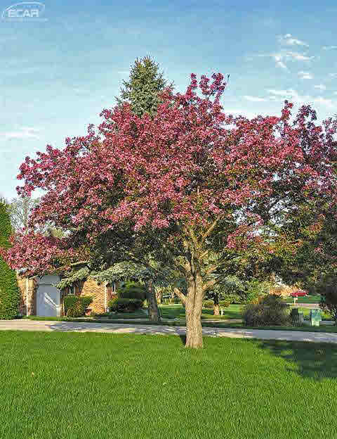 6302 Kings Pointe Road Grand Blanc, MI 48439 - Photo 2 of 37 20430272-1.JPG