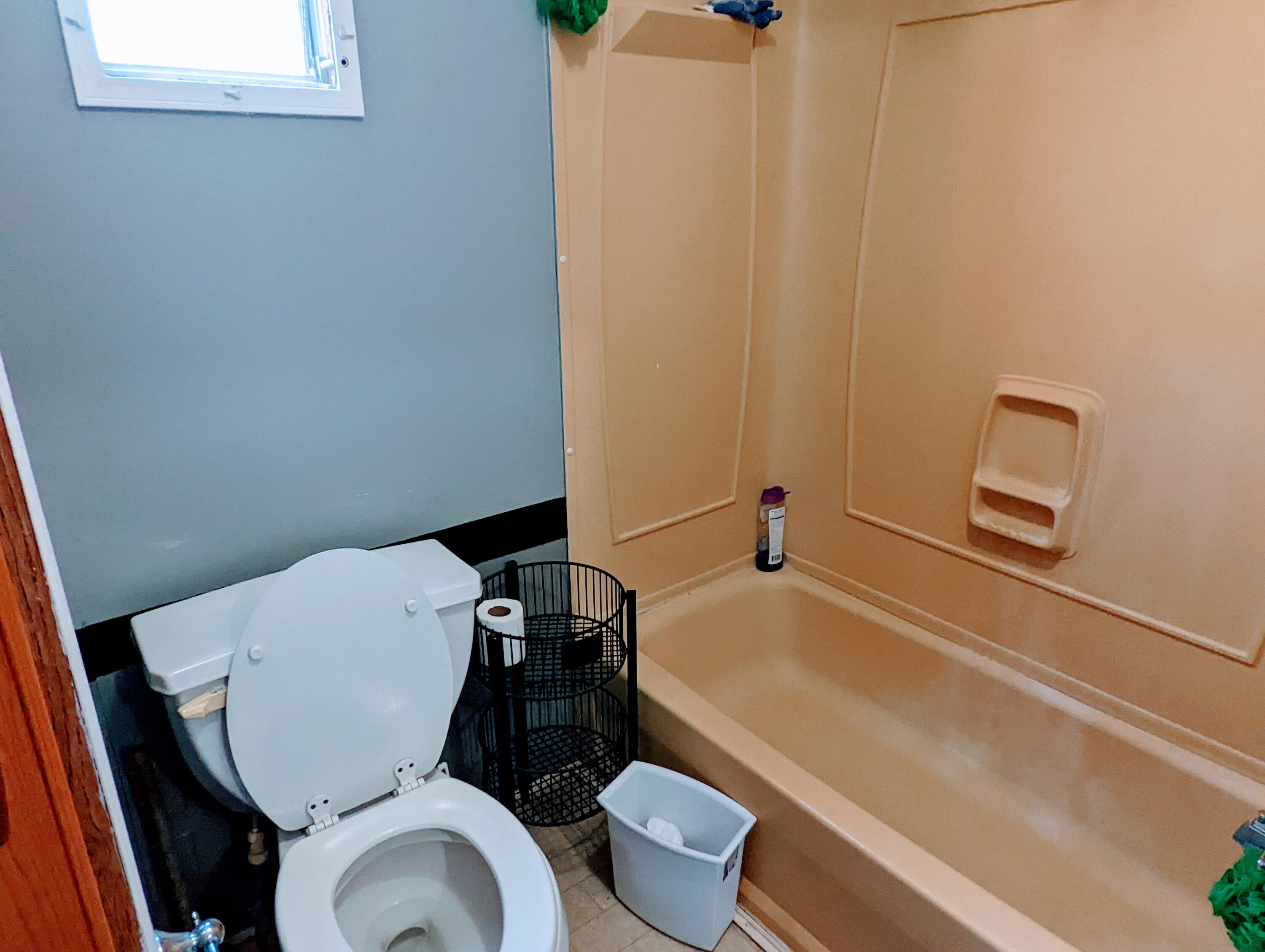 135 Beech Grove Road Telford, TN 37690 - Photo 27 of 33 Main bathroom