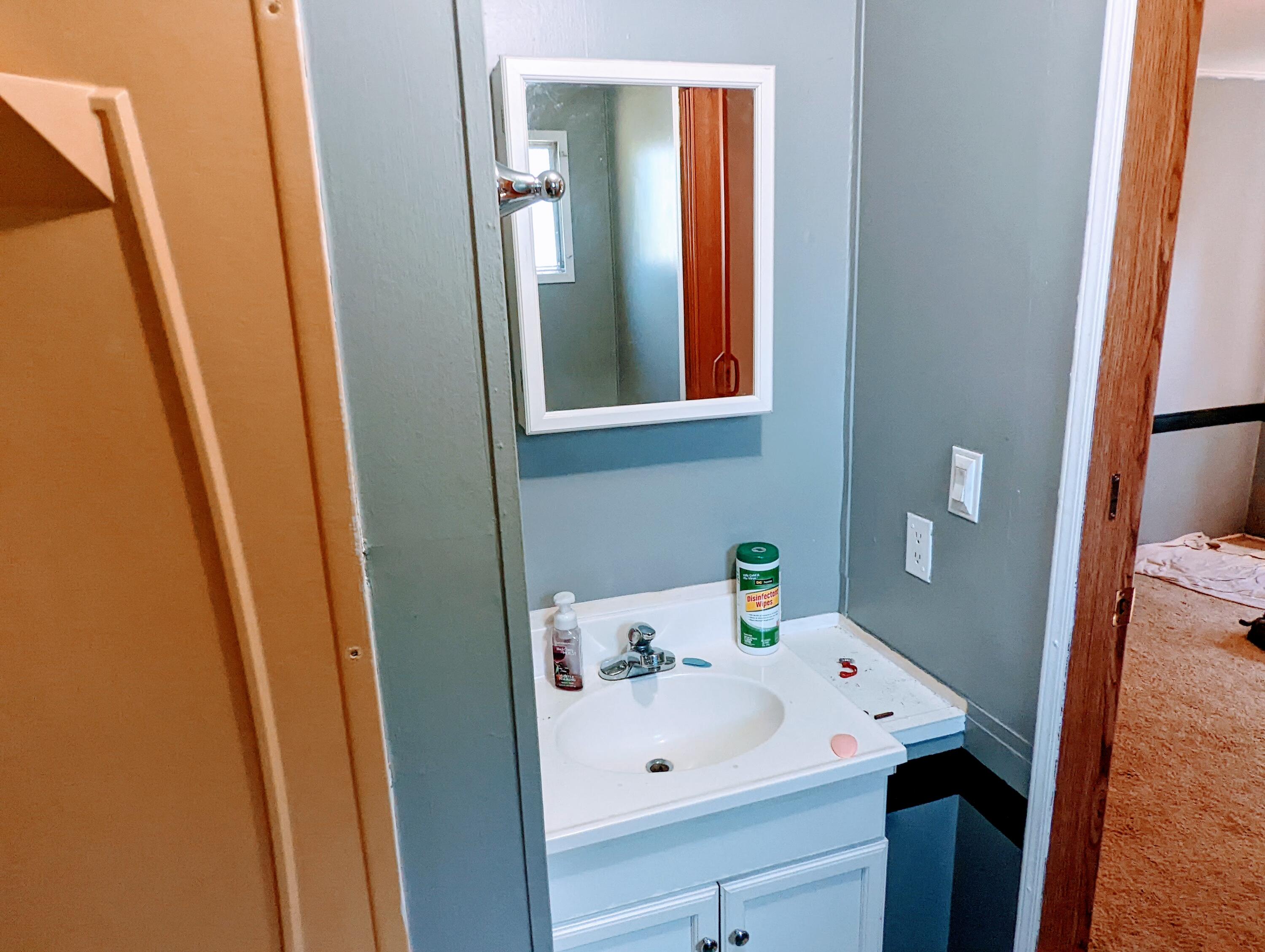 135 Beech Grove Road Telford, TN 37690 - Photo 28 of 33 Main bathroom