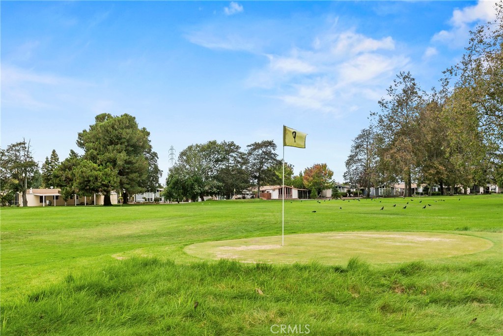 519 West Taylor Street, Unit 252 Santa Maria, CA 93458 - Photo 35 of 52 a view of a big yard and large trees