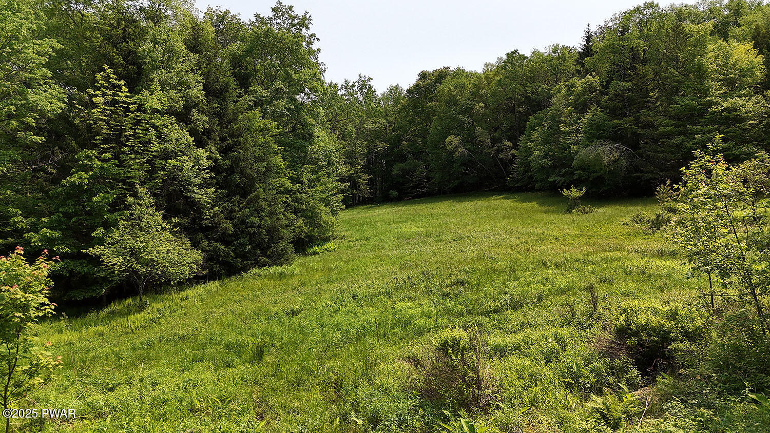 390 Cemetery Road Damascus, PA 18415 - Photo 22 of 37 View from deck