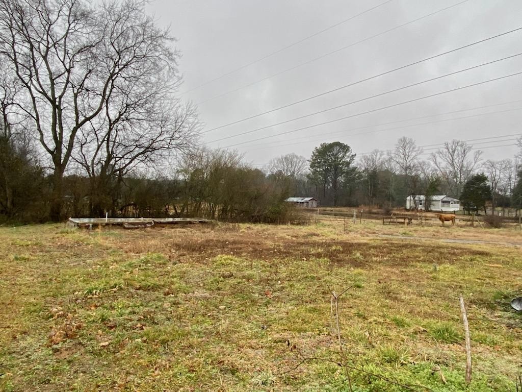 0 Tibbs Bridge Road Southeast Dalton, GA 30721 - Photo 14 of 22 a view of yard with large trees