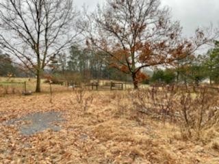 0 Tibbs Bridge Road Southeast Dalton, GA 30721 - Photo 20 of 22 a view of covered with snow