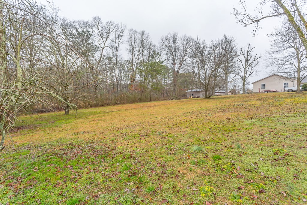 0 Tibbs Bridge Road Southeast Dalton, GA 30721 - Photo 9 of 22 a view of yard with large trees