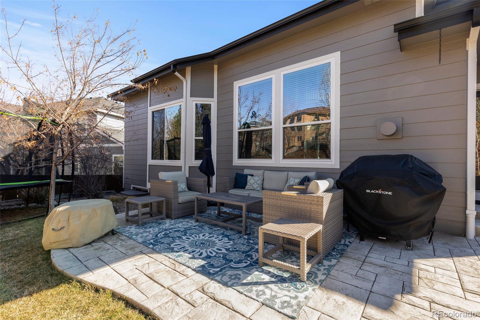 9925 Keenan Street Highlands Ranch, CO 80130 - Photo 42 of 49 Gallery Image 42
