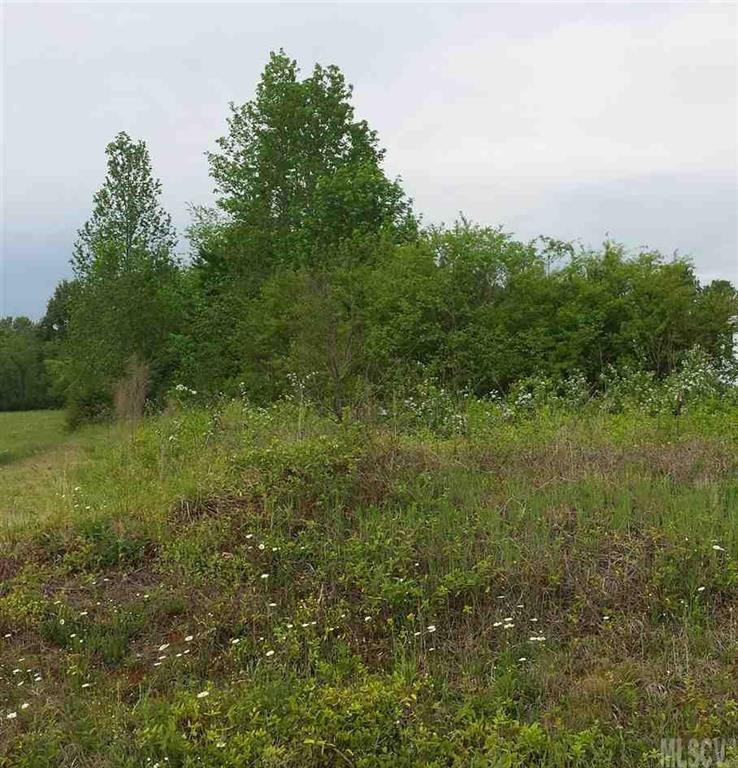 Lot 4 Henry Road, Unit 4 Vale, NC 28168 - Photo 2 of 6
