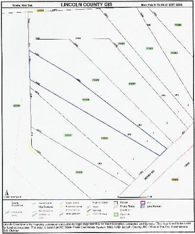Lot 4 Henry Road, Unit 4 Vale, NC 28168 - Photo 6 of 6
