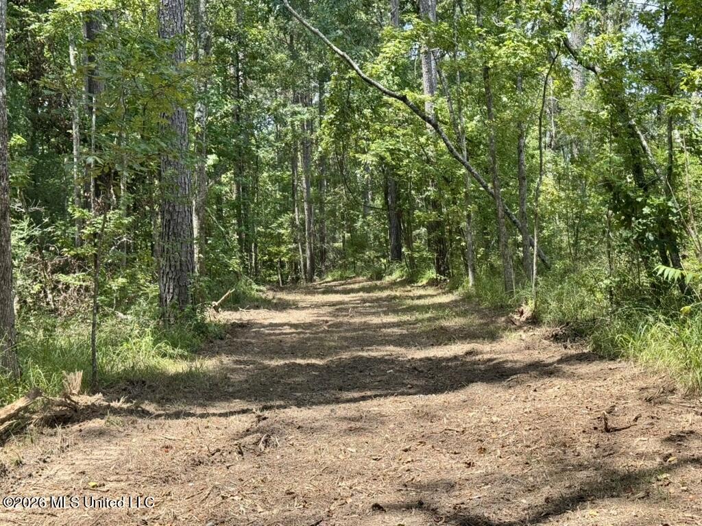57 Monticello Road Wesson, MS 39191 - Photo 10 of 19 9E1B0586-7D70-44C7-B550-8A36FE021A25_1_1