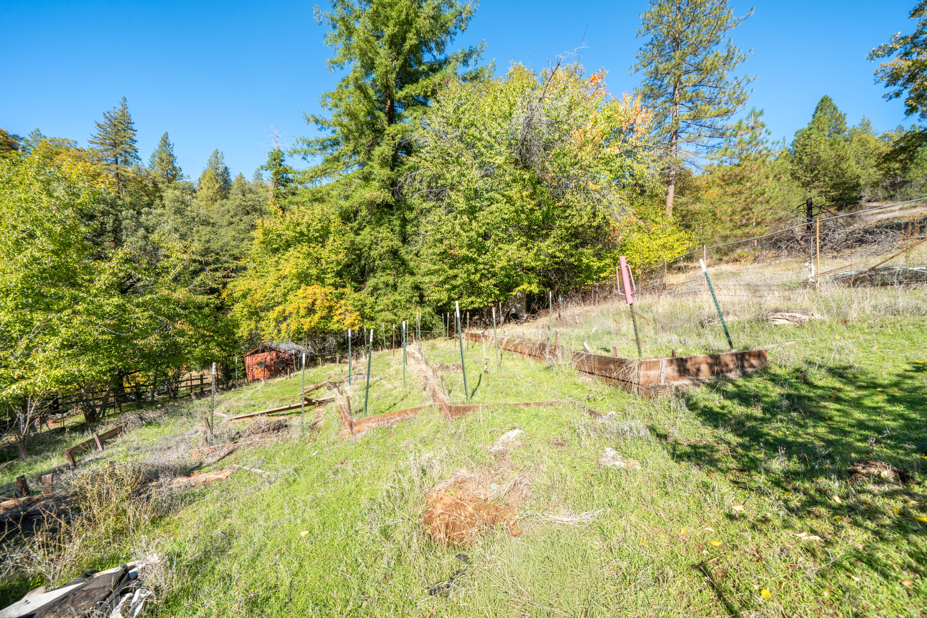 20389 Our Road Lakehead, CA 96051 - Photo 28 of 92 RAISDED BED GARDEN AREA