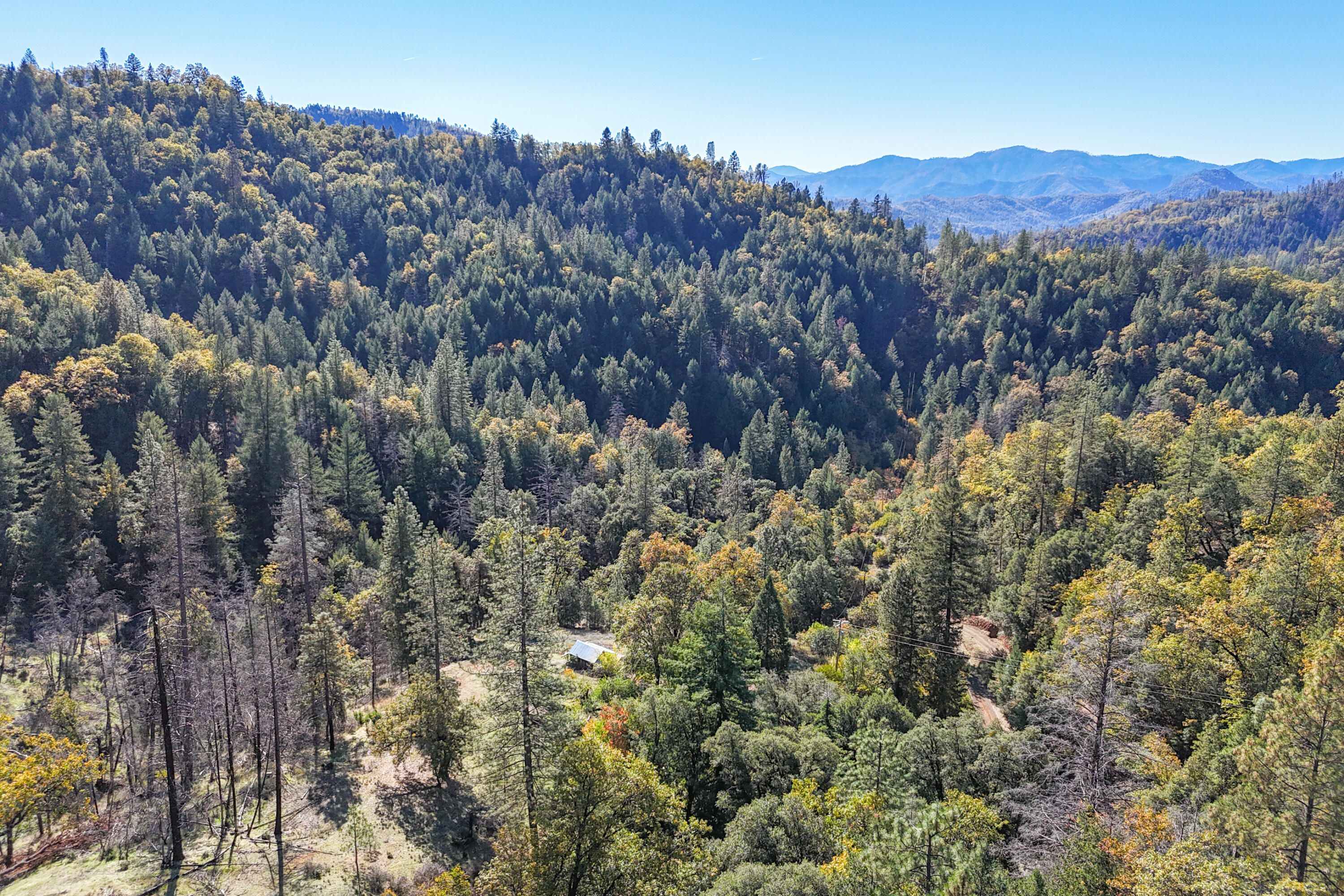 20389 Our Road Lakehead, CA 96051 - Photo 83 of 92 VIEW WEST